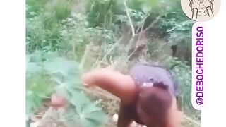 Video Engraçado