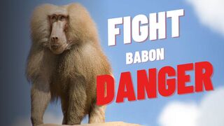 FIGHTING BABON DANGER