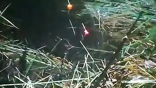 #video