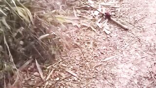 #video lucu