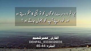 VID-20241221-WA0007.