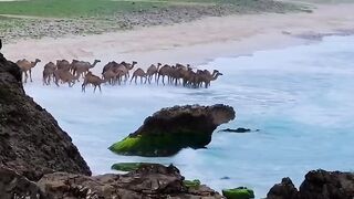 Dhofar, the picturesque southern province of the Sultanate of Oman