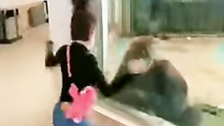 Mad girl is dancing to impress gorilla