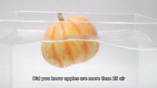 Why Apples Are 25% Air: The Juicy Secret You Never Knew"