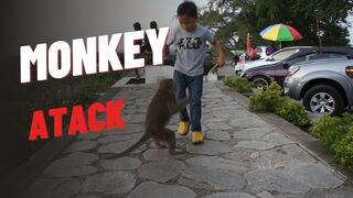 MONKEY ATACK BOY