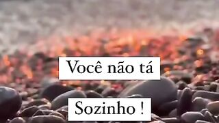 motivaçaodiaria