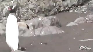 funny