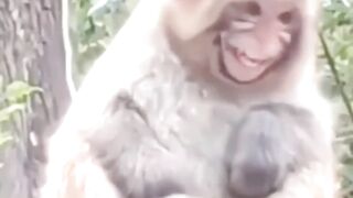 funny  #1 ????