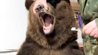 cleaning of teeth