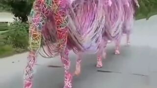 Amazing, Interesting and Wondering "Threads Made Women"