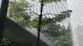 Beautifull scene