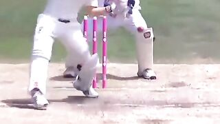 Cricket