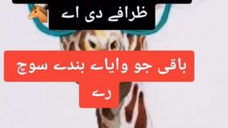Very Funny Long Tongue have in this world "giraffe and woman"