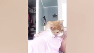 CATS Actually Love Their Humans