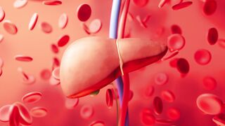 everthing about liver and how liver work