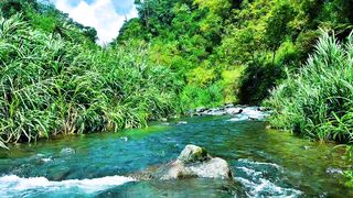 Relaxing River Sounds for Meditation and Sleep | Natural Flow for Total Calm