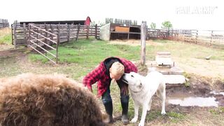 People Vs Animals: Funny Animal Fails Compilation