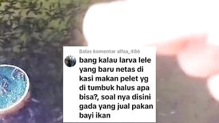 Ada cara simple malah pilih yang ribet