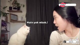 THE MOMENT+WHEN+CATS+SOOOOOOOOVE+THE+BEAUTIFUL+GIRL+HER VOICE+SPOILED+SO