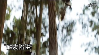 fantasy movie