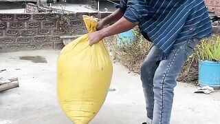 Comedy video