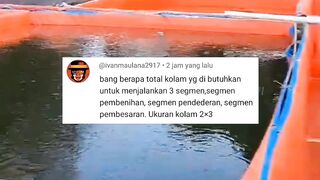 BERAPA JUMLAH DAN UKURAN KOLAM UNTUK MENJALANKAN 3 SEGMEN BUDIDAYA LELE - PART 1