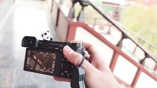 Camera poked