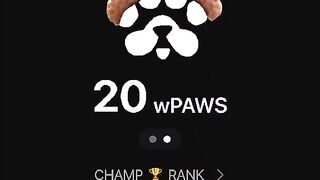 Update Paws   -