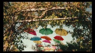 Umbrella