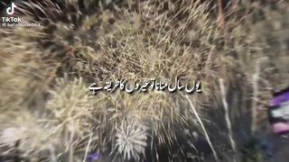 We are Muslims ????