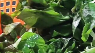 Aalu ke patte ka sag | #cooking #healthy #food #shorts #ytshorts #trending #funny #comedy #youtube