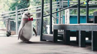 Caged Again บอกกรงๆ...ว่ารักเธอ - เริ่ม 15 พ.ย. นี้ -[Official Trailer] 2024