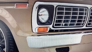 Ford F 100
