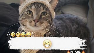 Funny video ????