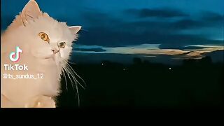 Funny video ????