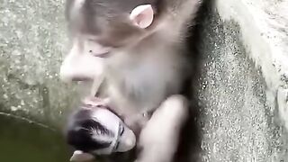 BABY MONKEY RESCUE