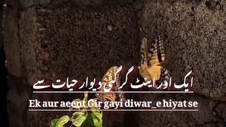 Aik aur aeent gir gayi_happy new year sad