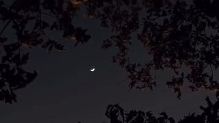 ????????????