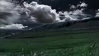 Beautiful nature