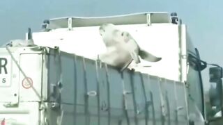 ????????????????????