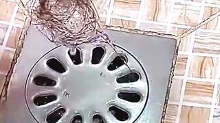 Drain Protector