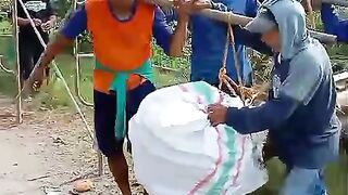 MOVE COCONUT KOPYOR