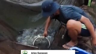 Ini RESIKO menjual ikan lele konsumsi ECERAN
