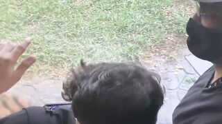 Mumbai zoo vlog with ???? tiger