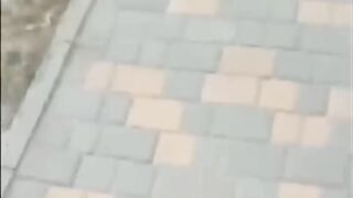 Try Not to Laugh ????