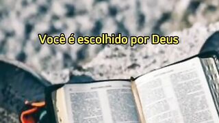 motivaçaodiaria