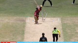 Muhammad Amir wickets