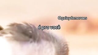 motivaçaodiaria