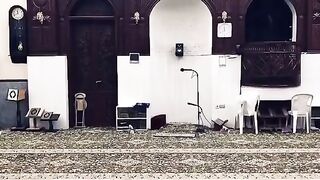 سورۃ مریم  قاری شیخ عبدالله شالواله