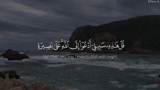 سورۃ یوسف  قاری محمد ابا الحسن